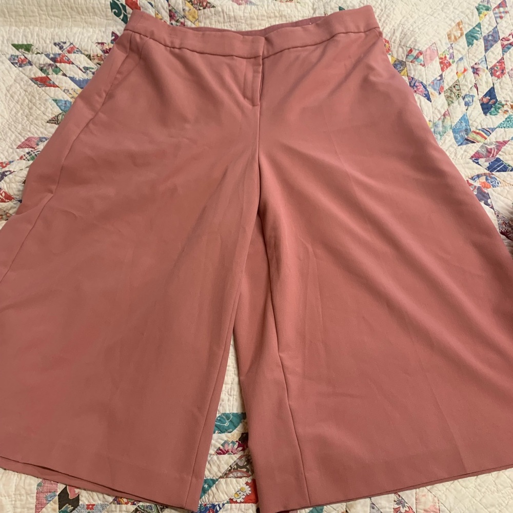 🌻Gouchos🌻Coulots🌻